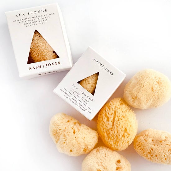 Sea Sponge | Large
