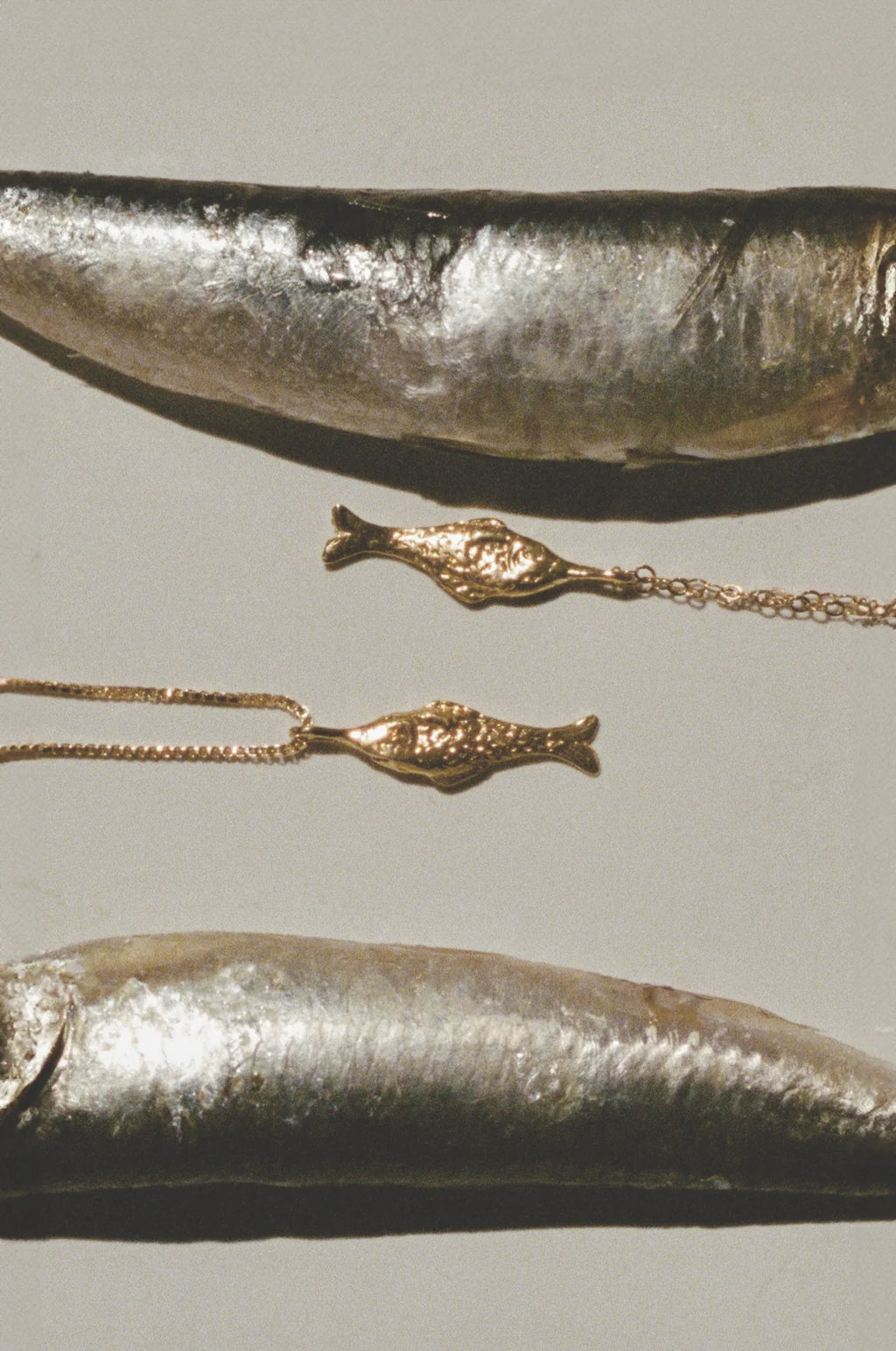 Pescadero Necklace | 20"  Box Chain | 14K Gold Filled