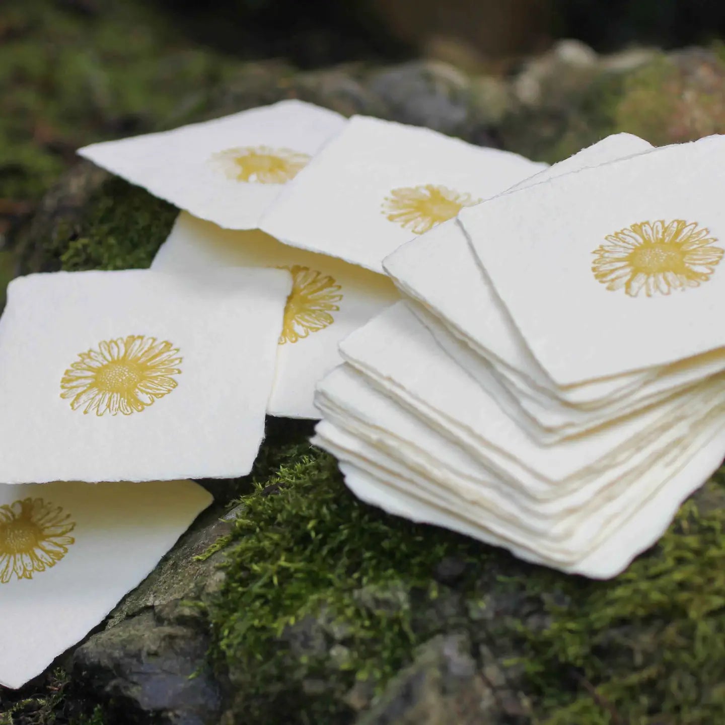 Daisy Handmade Letterpress Card