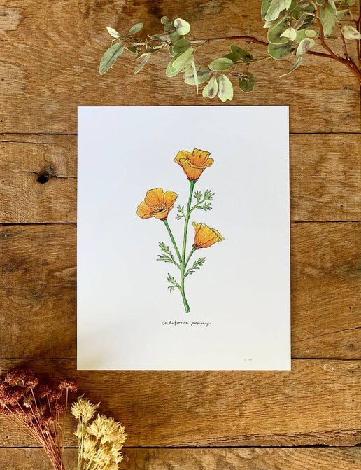 California Poppy Art Print