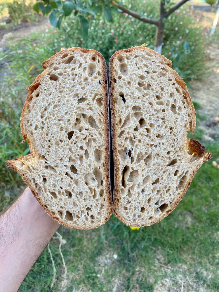 Bedstone Baking Pop-Up at Wild Fennel