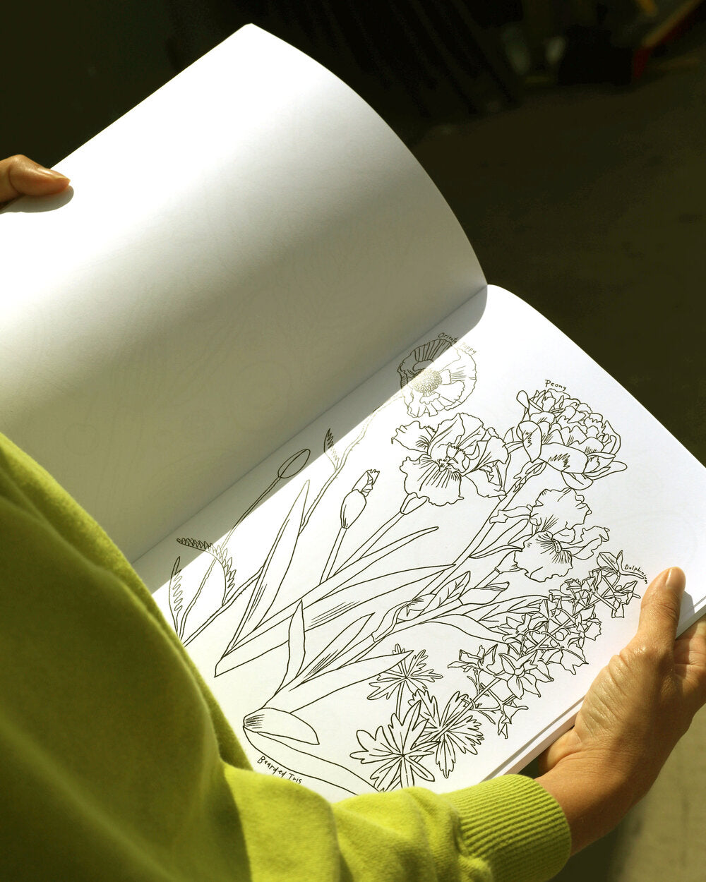 A Garden for All Seasons Coloring Book