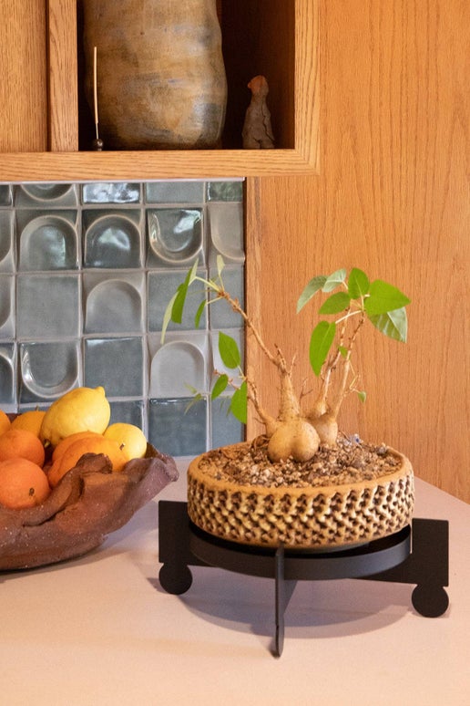 BAL Plant Stand | Matte Black