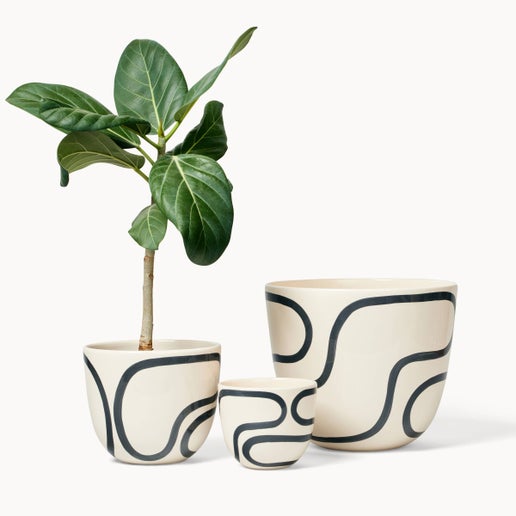 Black Outline Planter | Medium