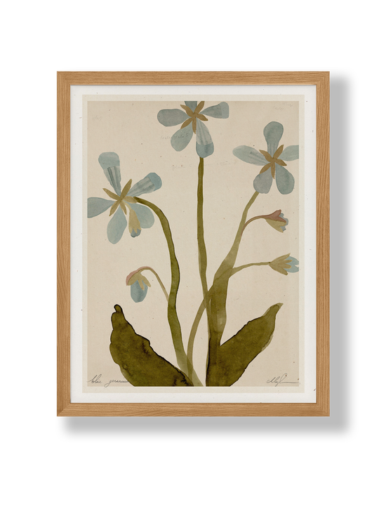 Blue Geranium Print | 8.5" x 11"