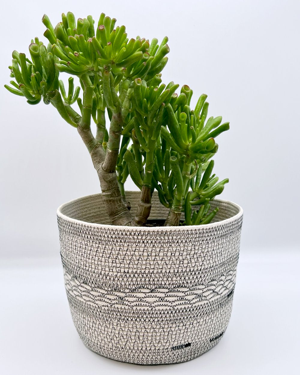 Medium Bucket