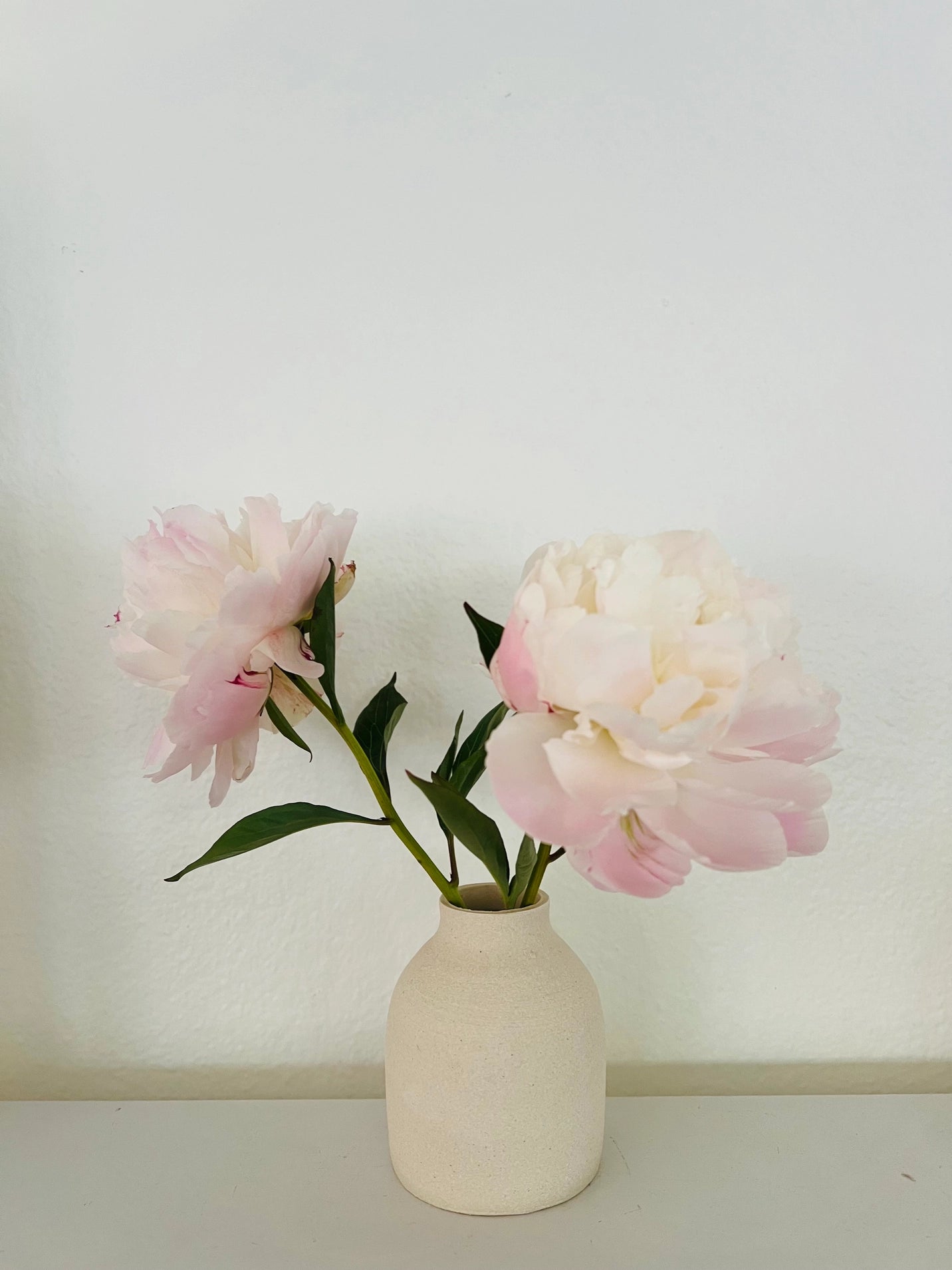 Stoneware Bud Vase | Cream