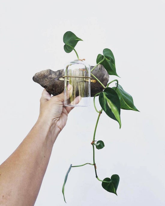 Driftwood Bud Vase for Wall