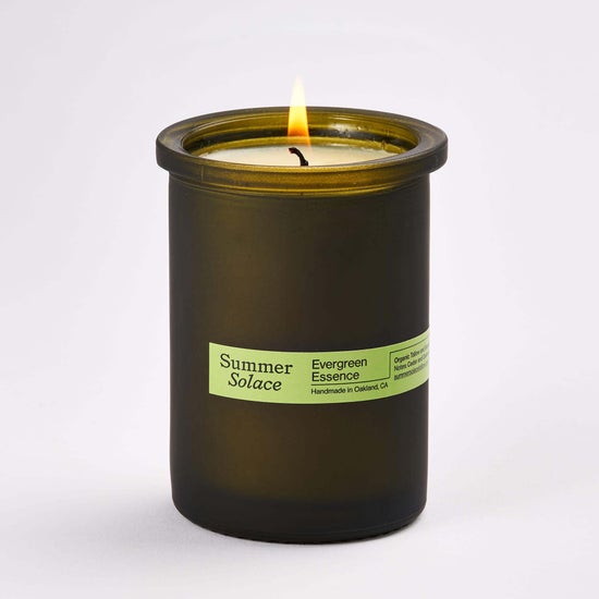 Evergreen Essence | Regenerative Tallow Candle | 6 oz
