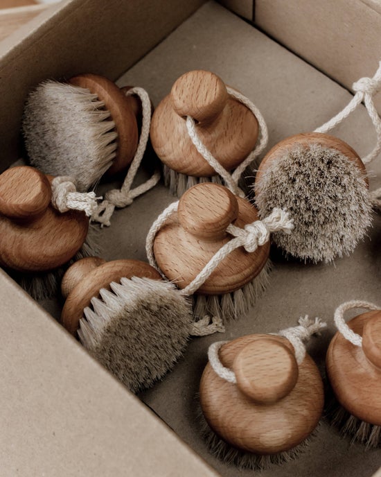 Face Brush