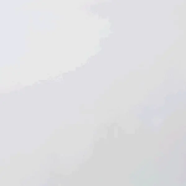 Dandelion House Hot Chocolate Mix