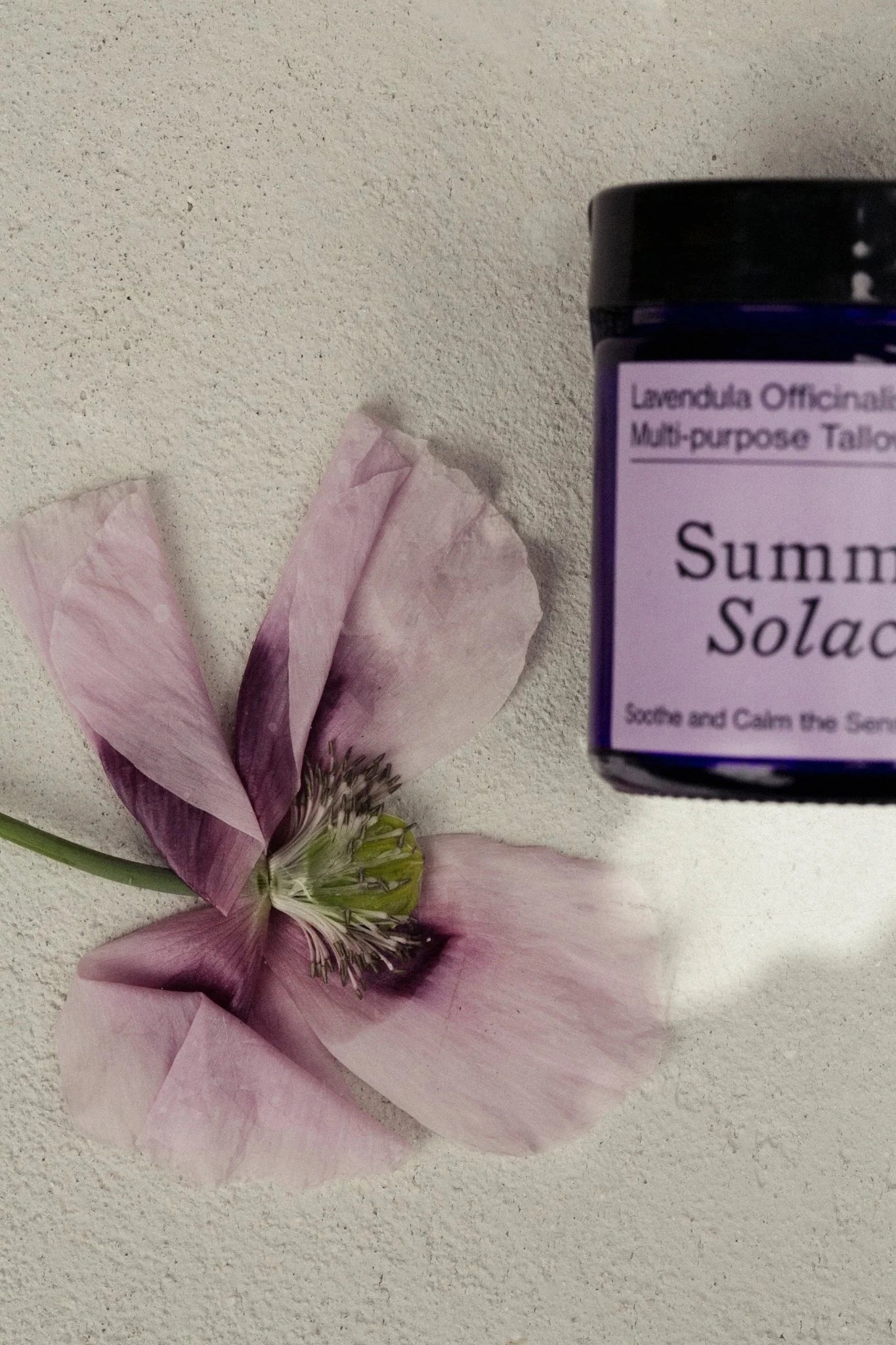 Lavender Tallow Balm | 50 mL