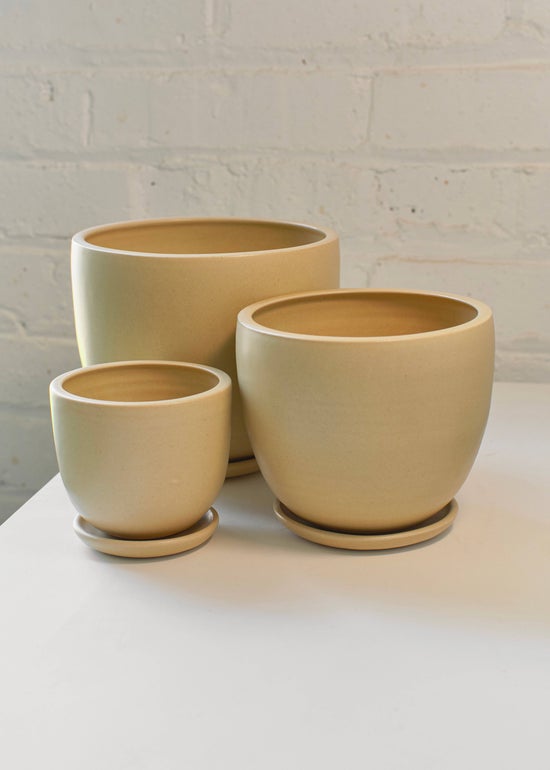 Classic Planter w/ Saucer | Large
