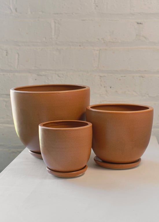 Classic Planter w/ Saucer | Extra Small