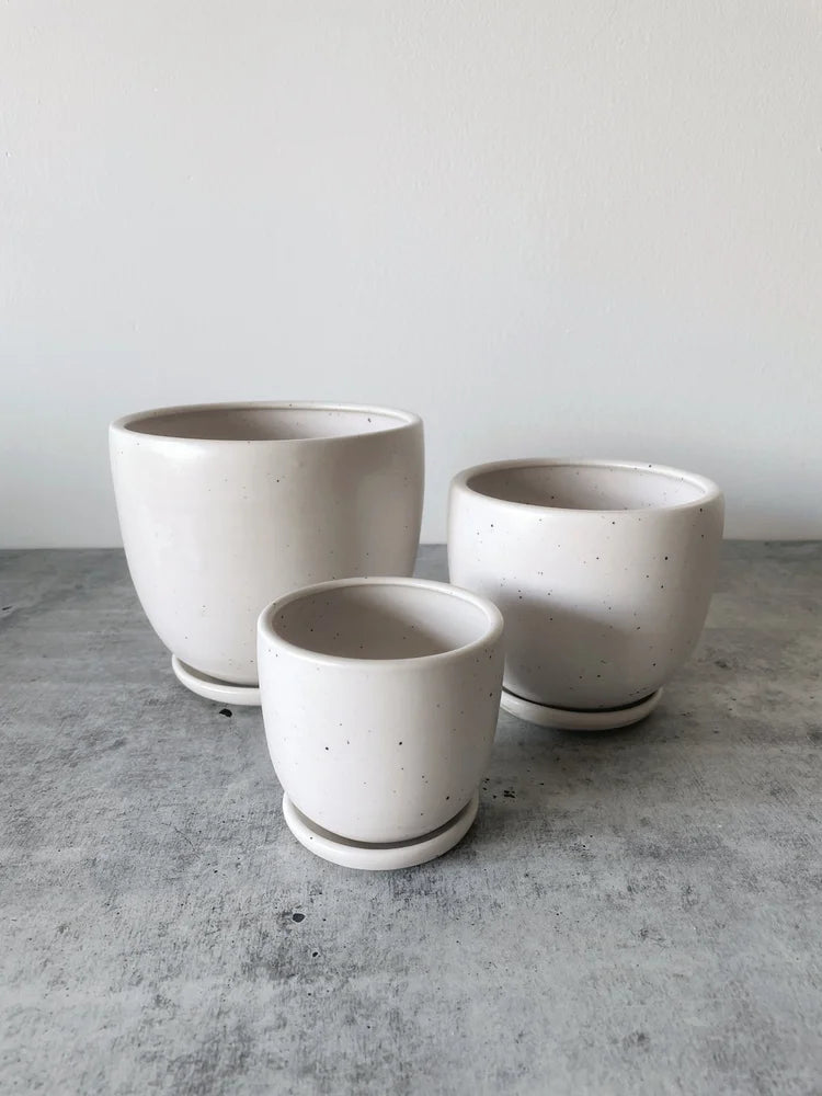 Classic Planter w/ Saucer | Medium