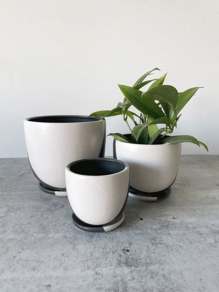 Classic Planter w/ Saucer | Large