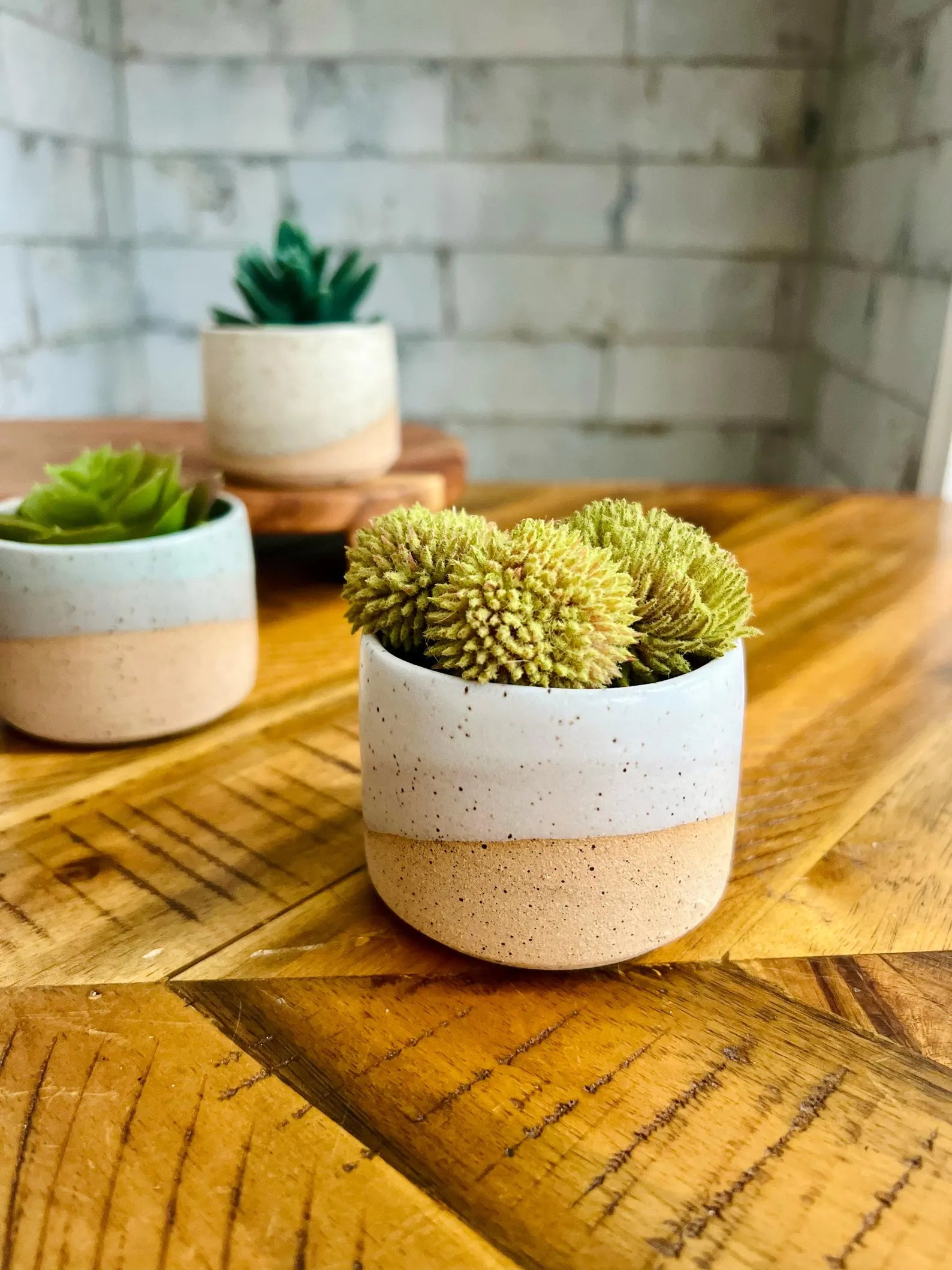 Mini Ceramic Planter