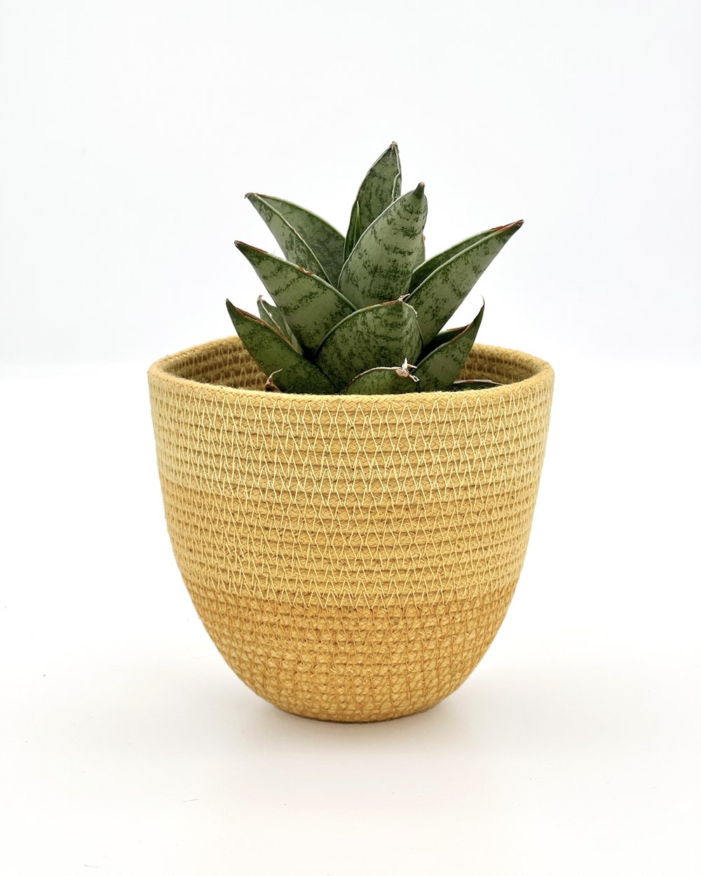 Mini Planter