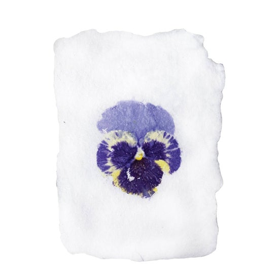 Pansy Imprint | Flat Note Card