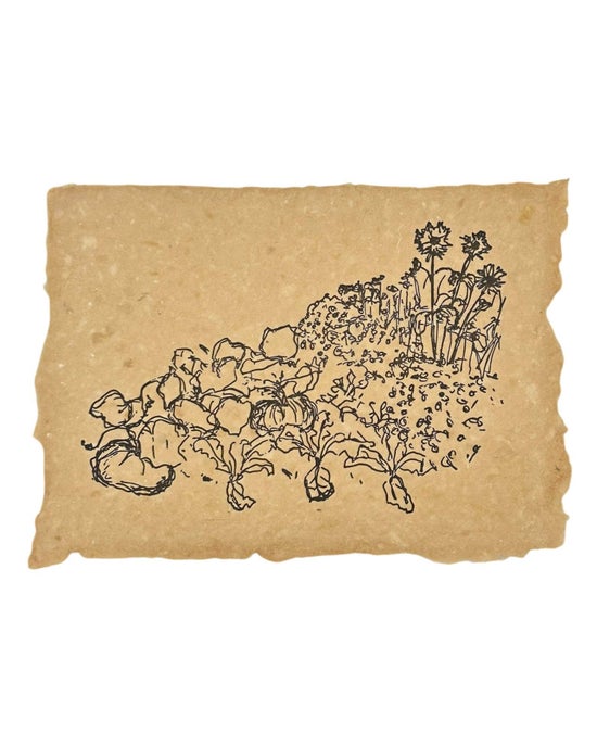 Autumn Garden Print