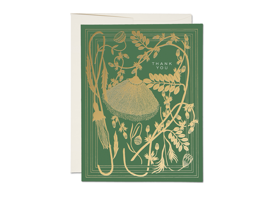 Sage thank you greeting card: Singles