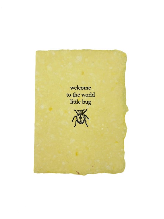 Little Bug | Baby Card