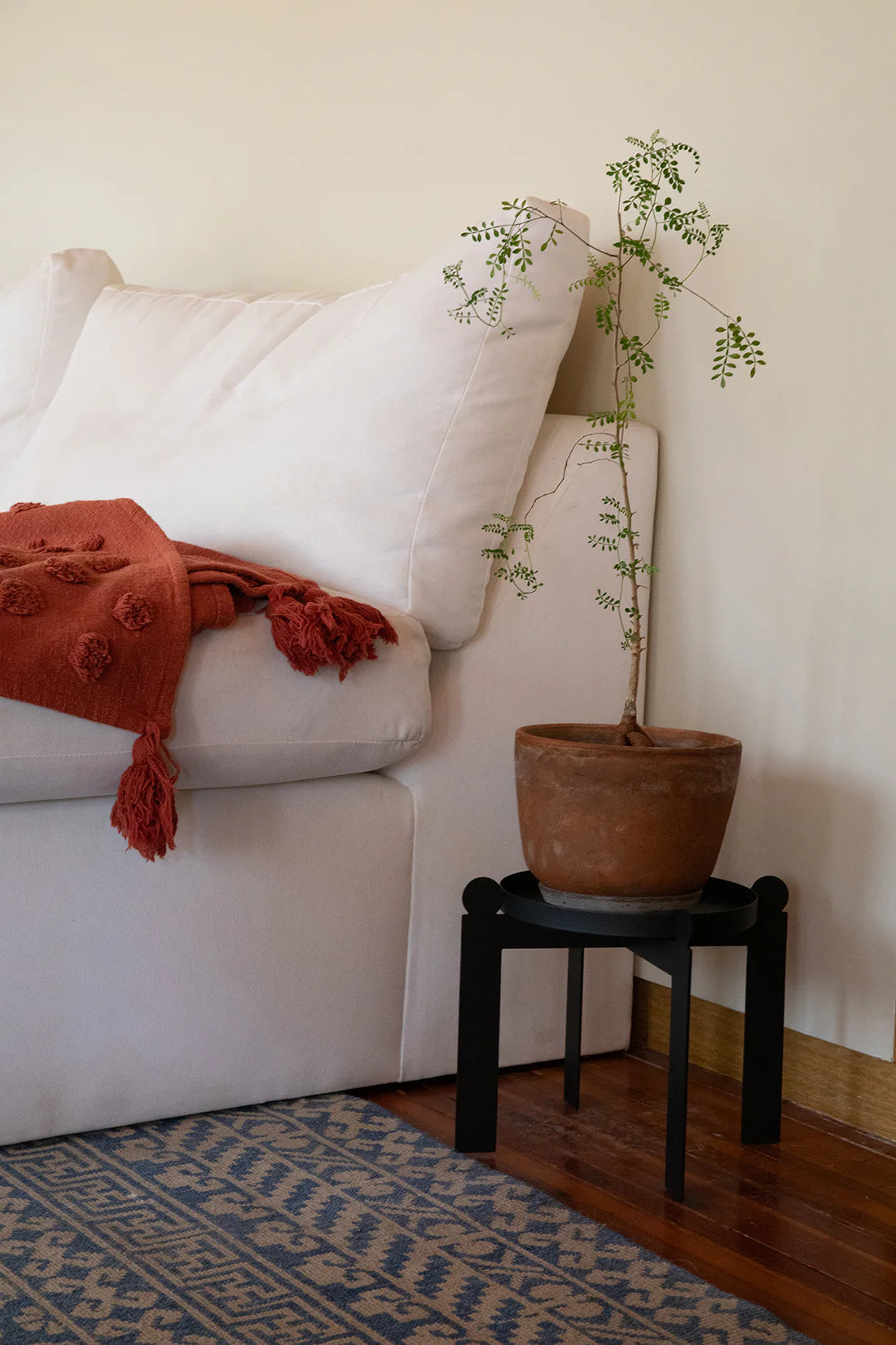 PALLA Plant Stand | Matte Black