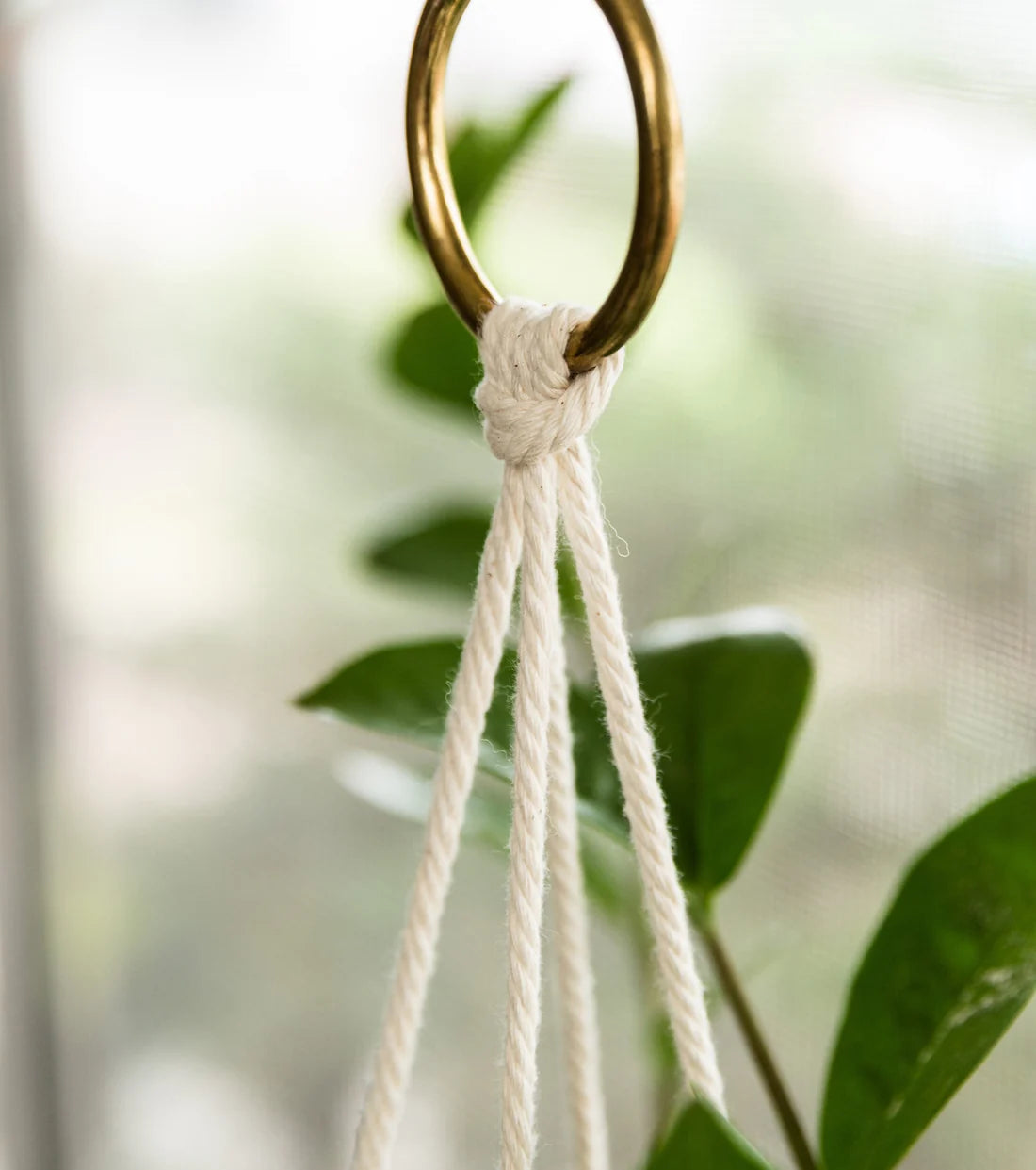 Small Plant Hammock