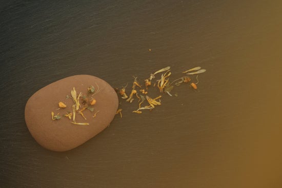 Radiance Detox Loose Leaf Tea