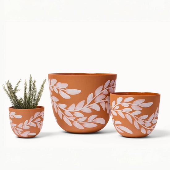 Terracotta Willow Planters | Large