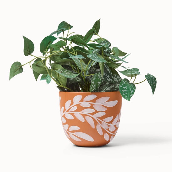 Terracotta Willow Planters | Large