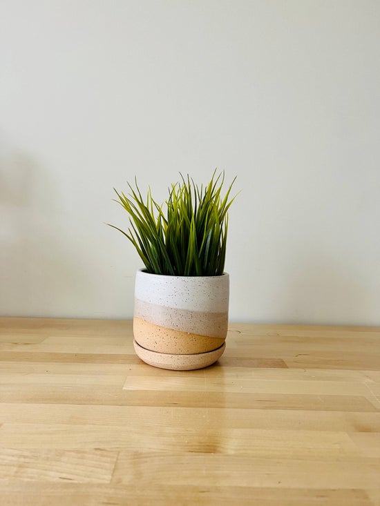 Wide Bottomed Planter & Saucer | Medium