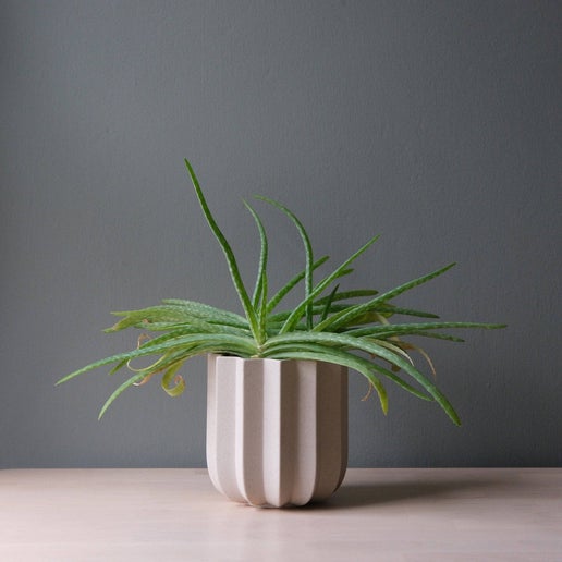 Wrap Planter | Dune | 5"