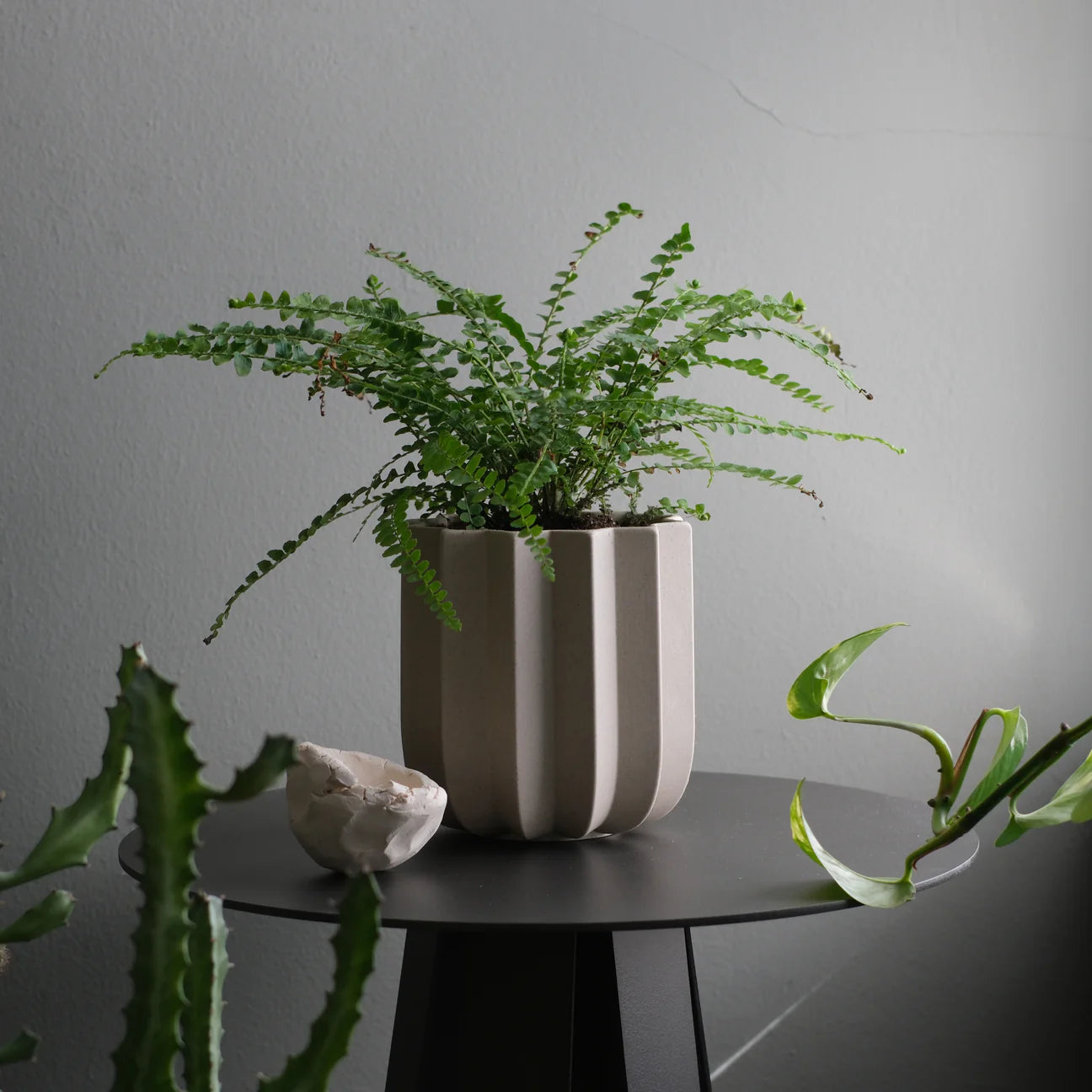 Wrap Planter | Dune | 5"