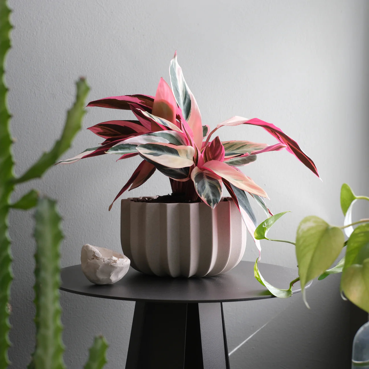 Wrap Planter | Dune | 7"