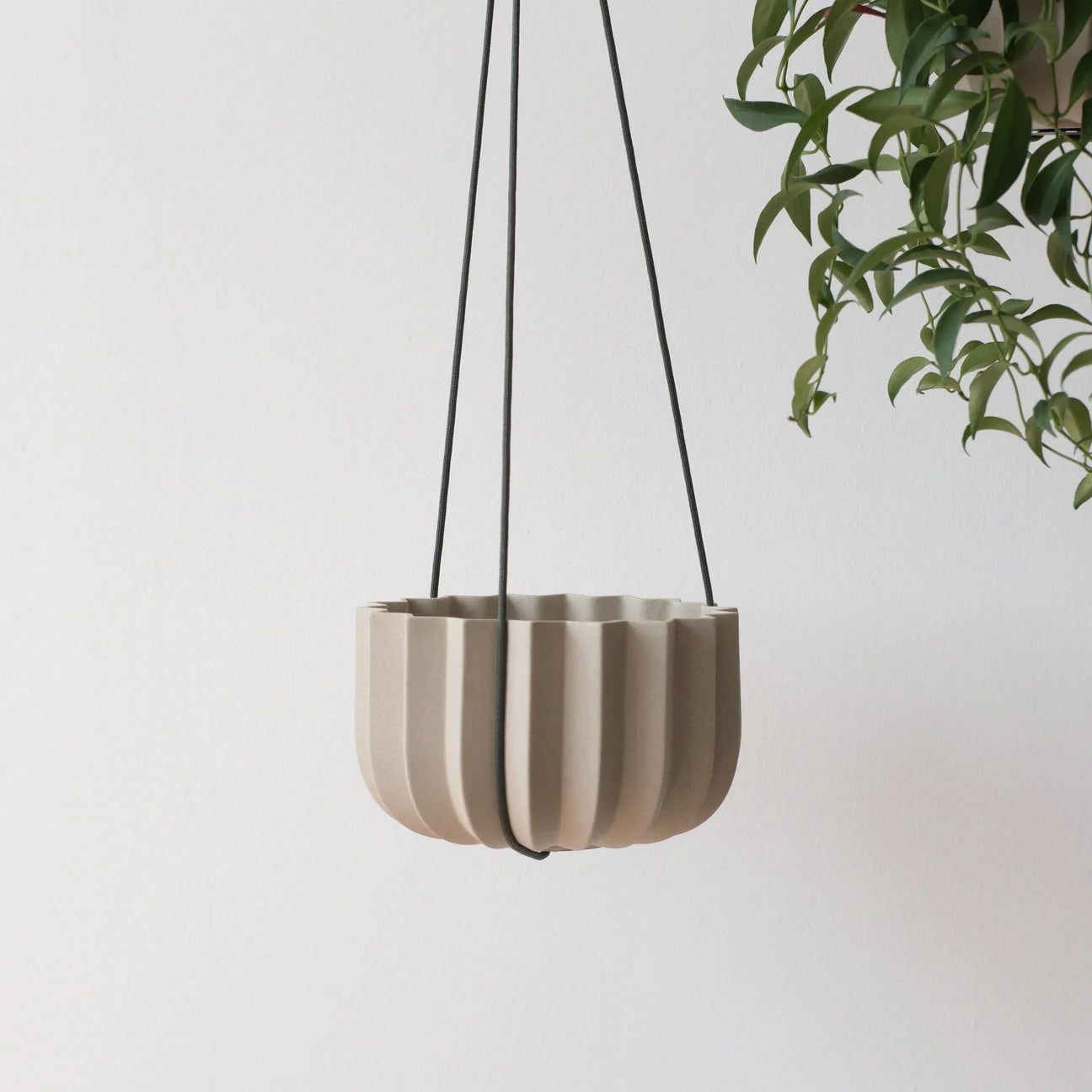 Wrap Planter | Dune | 7"