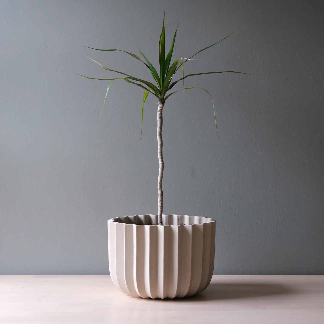 Wrap Planter | Dune | 9"