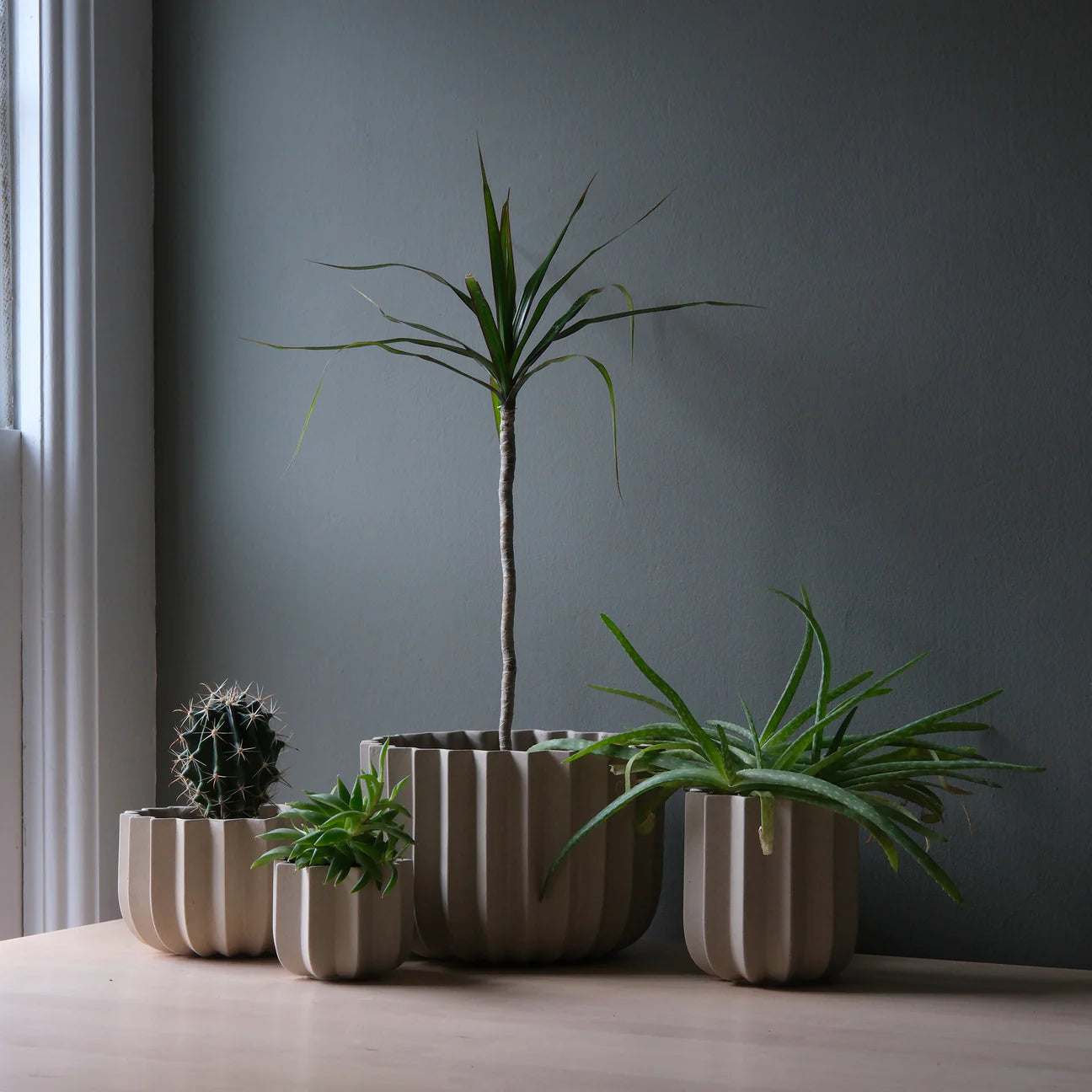 Wrap Planter | Dune | 9"